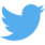 Logo Twitter