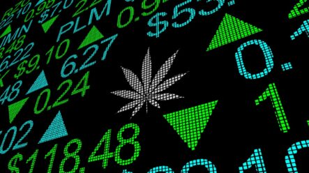 Zajímavé marihuanové akcie pro investování v druhé polovině 2020