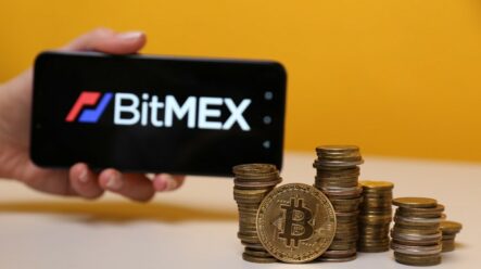Hodnota BitMEX Insurance Fund dosahuje rekordní výše