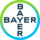 Logo BAYN