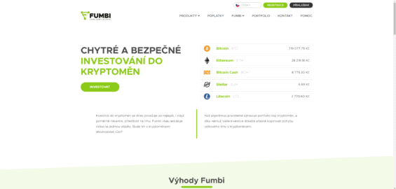Recenze fumbi - Náhled webových stránek