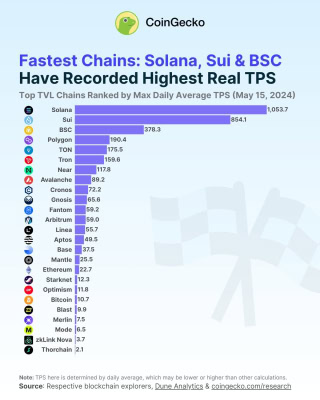 Nejpoužívanější sítě seřazené dle skutečných maximálních denních TPS