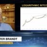 TIP: Analityk Peter Brand predikuje vzestup Bitcoinu až na $ 200 000!