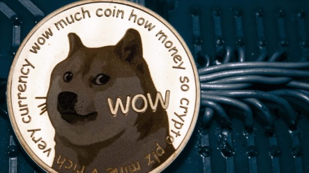 Raketový nárůst kryptoměny Dogecoin – má to smysl?