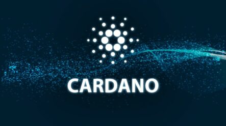 Vypadá to, že se Cardano rozjíždí. Na síti registruje už přes 230 smart kontraktů!