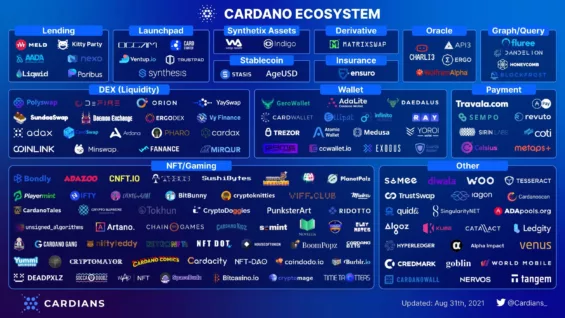 Mapa všech projektů na síti Cardano