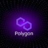 Pro více informací si přečtěte profil kryptoměny Polygon (MATIC).