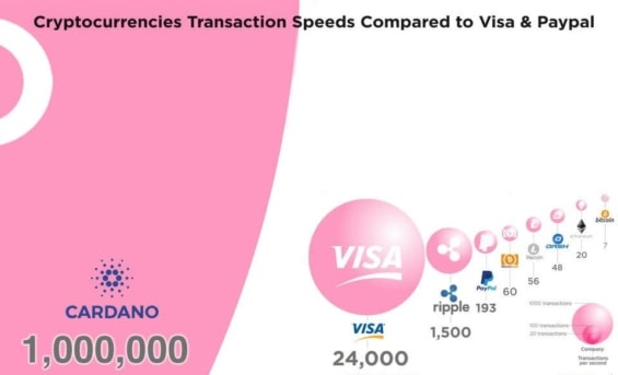 Znázornění transakční rychlosti blockchainů, Visy a Paypalu