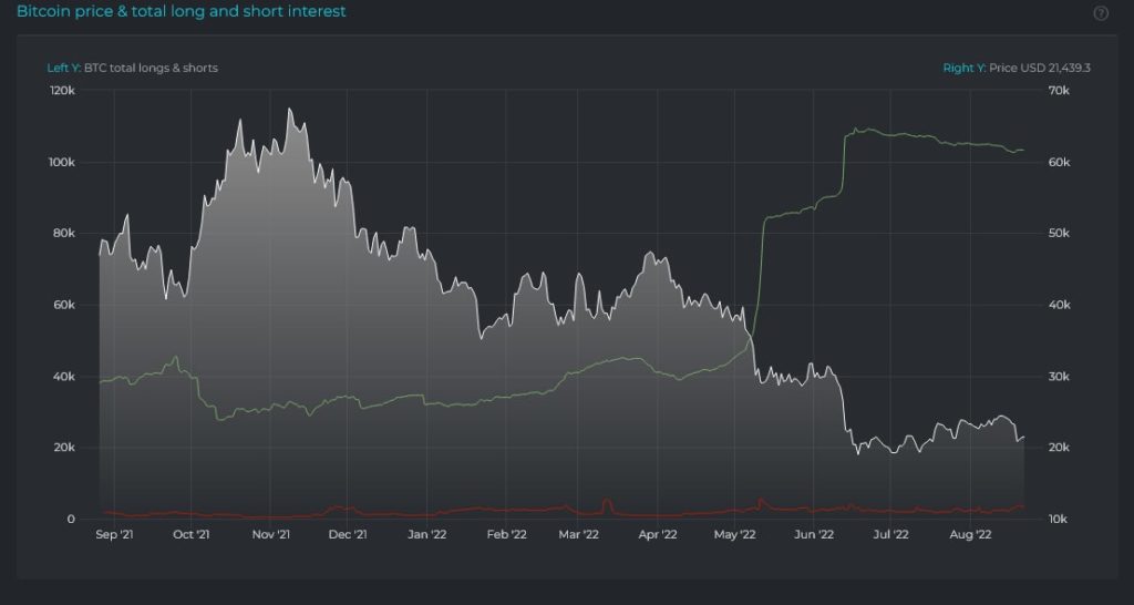 Bitcoin long pozice 1-year graf - Source: Datamish