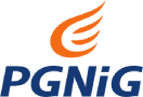 PGNIG Logo