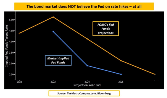 Terminal rate a očekávání dluhopisového trhu
