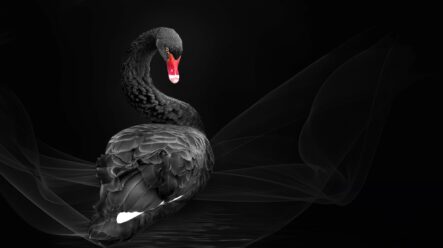Autor “Černé labutě” Nassim Taleb varuje před těžkými časy