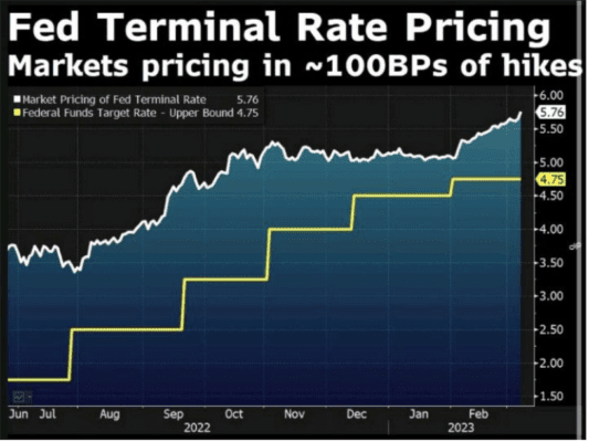 Fed terminal rate