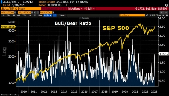 Bull/bear sentiment ukazatel