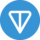 Logo TON