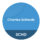 Logo Schwab US Dividend Equity ETF