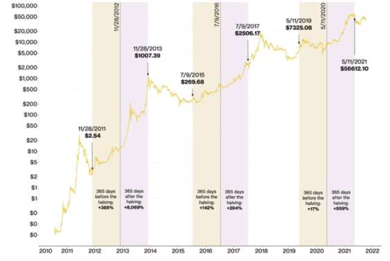 Grafu ukazuje, jak se vyvíjela cena Bitcoinu po jednotlivých půleních (růžová barva). Cena je vyjádřena na logaritmické stupnici