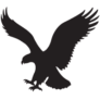 Logo American Eagle Outfitters