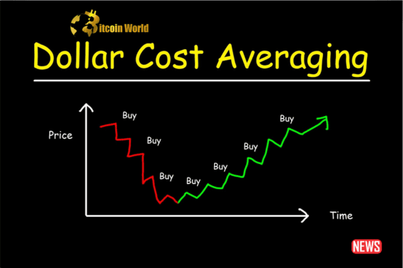 Dollar cost average strategie