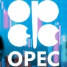 Čtěte také: Vliv OPEC na ceny ropy slábne. Může však promluvit do příštích amerických prezidentských voleb