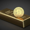 Bitcoinová ETF lámou rekordy! Stane se Bitcoin novým zlatem?