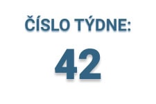 Číslo týdne