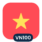 Logo VN100