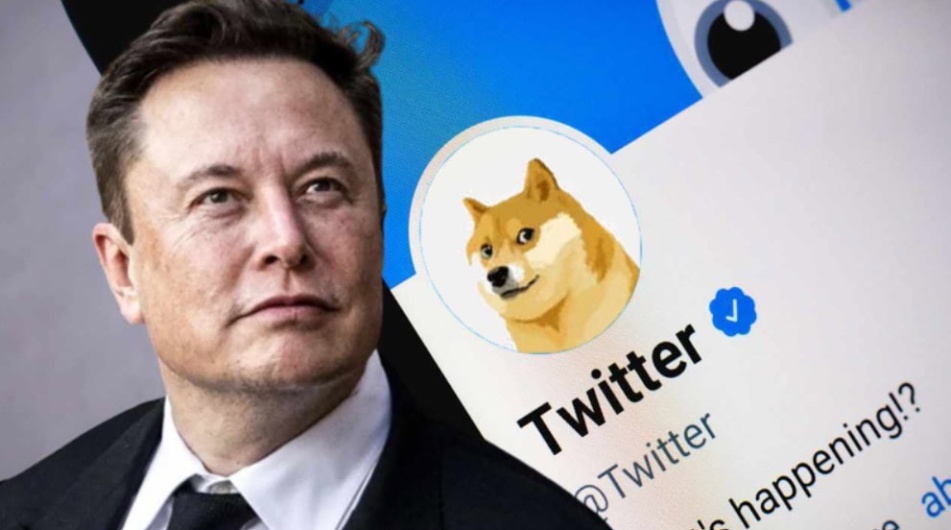 Elon Musk vyhrál soud ohledně Dogecoinu. Znásobí kryptoměna svoji cenu? | Finex Coin Week