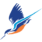 Logo Kingfisher