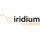 Logo IRDM