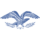 Logo FAF