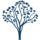Logo MGY
