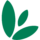 Logo SMG