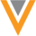 Logo VEEV
