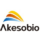 Logo Akeso