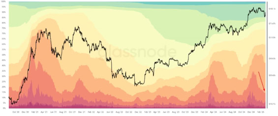 HODL Waves