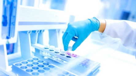 2 akcie nad propastí: kdo v brutálním souboji o budoucnost přežije?