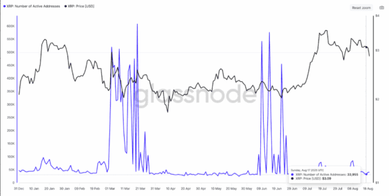 Denní aktivní adresy na XRP
