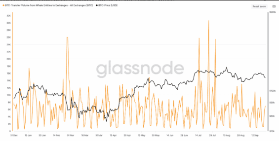 Transfery bitcoinů velrybami na burzy