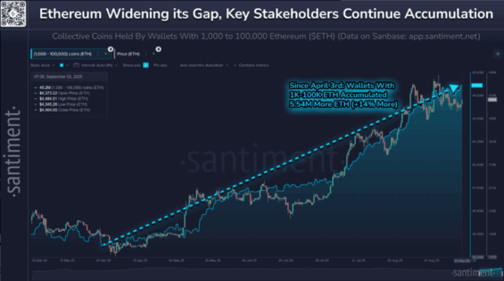 Akumulace Etherea velrybami od dubnových minim
