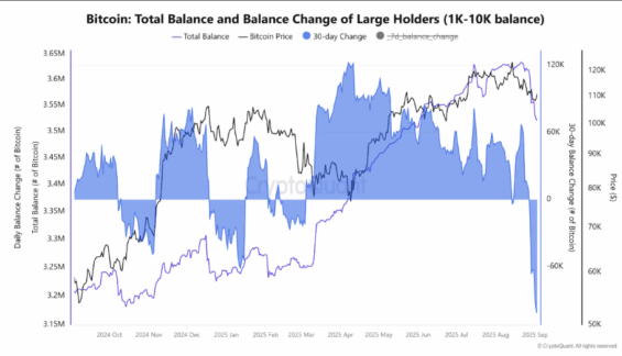Vývoj prodejů velryb