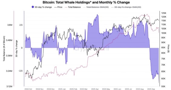 Vývoj bitcoinů vlastněných velrybami