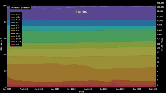 HODL Waves na Bitcoinu