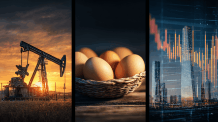 Tyto 3 akcie mají nízké ocenění, silné zisky a dividendu navrch. Ideální mix pro hodnotové investory!