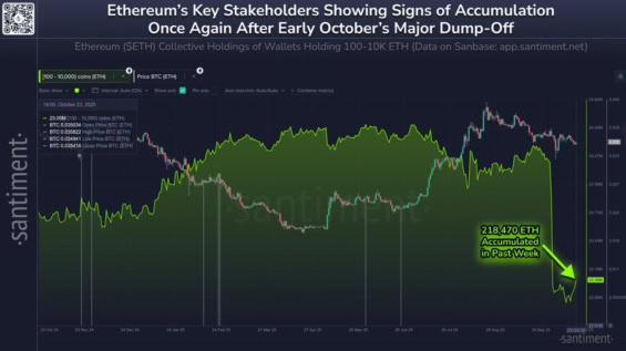 Akumulace Etherea ze strany velryb