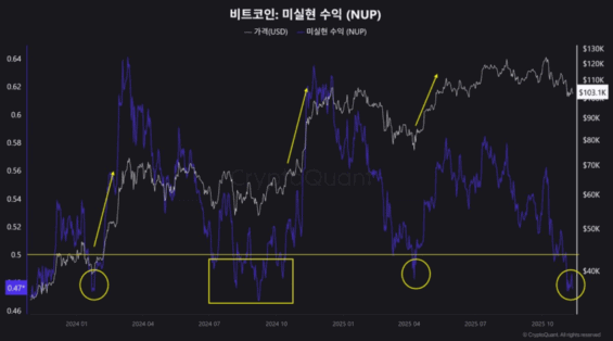Vývoj NUP na Bitcoinu
