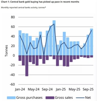 Akumulace zlata centrálními bankami v roce 2025