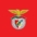 Logo Sport Lisboa e Benfica - Futebol