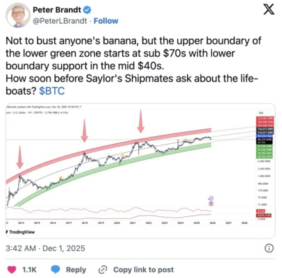 Příspěvek Petera Brandta na X