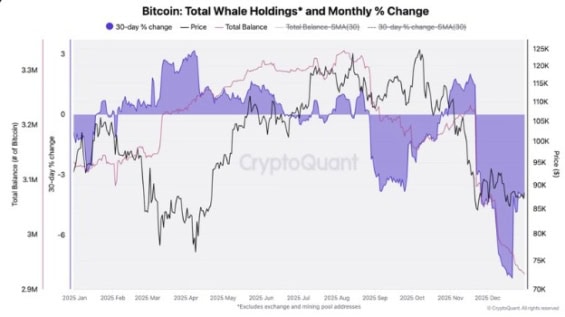 Objemy BTC držené velrybami a jejich meziměsíční změny